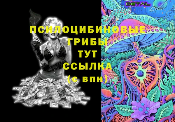 винт Алзамай