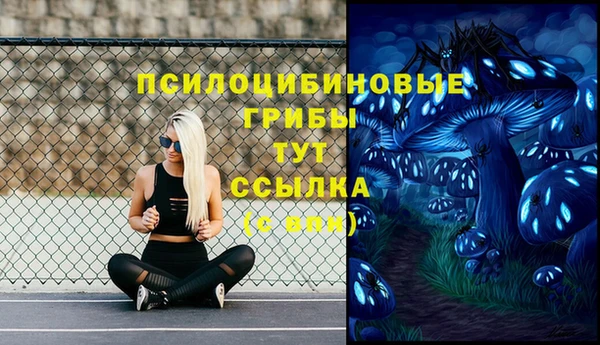 винт Алзамай