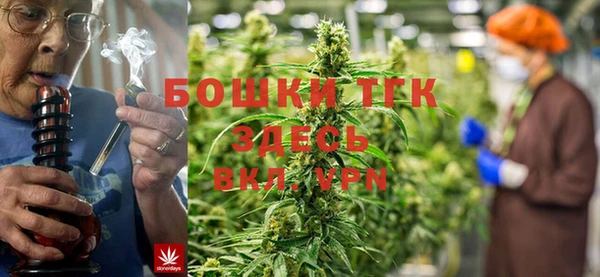 винт Алзамай