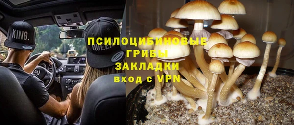 винт Алзамай