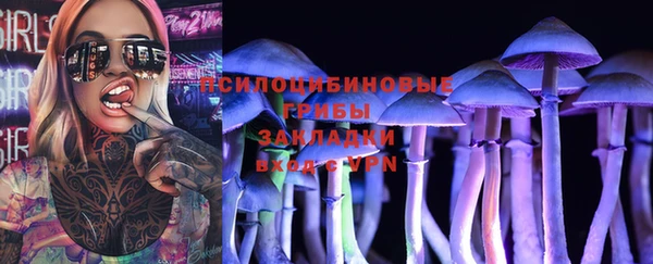 винт Алзамай
