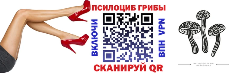 как найти   Апшеронск  Галлюциногенные грибы Magic Shrooms 